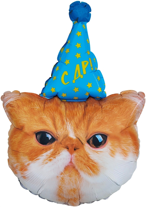 Шар (32''/81 см) Фигура, Котик в колпачке, 1 шт. в уп.,Китай 88050136
