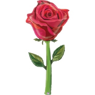 G (65''/165 см) Цветок, Роза, Красный, ИТАЛИЯ 88050152