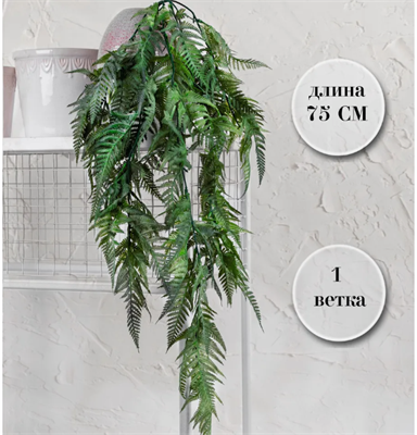 Папоротник ампельный Зеленый с Белым напылением 75 см  т.м.300 (2) 88045875 - фото 950