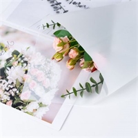 {{productViewItem.photos[photoViewList.activeNavIndex].Alt || productViewItem.photos[photoViewList.activeNavIndex].Description || 'Пленка матовая однотонная 58*58см Белый 34 20 листов  т.м.60'}}
