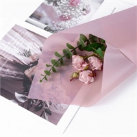 {{productViewItem.photos[photoViewList.activeNavIndex].Alt || productViewItem.photos[photoViewList.activeNavIndex].Description || 'Пленка матовая однотонная 58*58см Светло Красно-коричневый 18 20 листов  т.м.60'}}