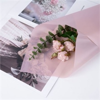 {{productViewItem.photos[photoViewList.activeNavIndex].Alt || productViewItem.photos[photoViewList.activeNavIndex].Description || 'Пленка матовая однотонная 58*58см Розовато-серый 05 20 листов  т.м.60'}}