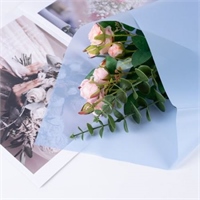 {{productViewItem.photos[photoViewList.activeNavIndex].Alt || productViewItem.photos[photoViewList.activeNavIndex].Description || 'Пленка матовая однотонная 58*58см Голубой 01 20 листов  т.м.60'}}