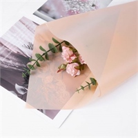 {{productViewItem.photos[photoViewList.activeNavIndex].Alt || productViewItem.photos[photoViewList.activeNavIndex].Description || 'Пленка матовая однотонная 58*58см Персиковая 27 20 листов  т.м.60'}}