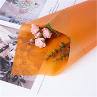 {{productViewItem.photos[photoViewList.activeNavIndex].Alt || productViewItem.photos[photoViewList.activeNavIndex].Description || 'Пленка матовая однотонная 58*58см Апельсин 36 20 листов  т.м.60'}}