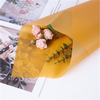 {{productViewItem.photos[photoViewList.activeNavIndex].Alt || productViewItem.photos[photoViewList.activeNavIndex].Description || 'Пленка матовая однотонная 58*58см Манго 37 20 листов  т.м.60'}}