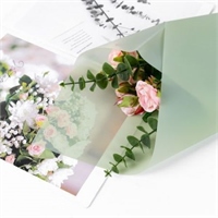 {{productViewItem.photos[photoViewList.activeNavIndex].Alt || productViewItem.photos[photoViewList.activeNavIndex].Description || 'Пленка матовая однотонная 58*58см Олива 09 20 листов  т.м.60'}}