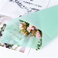 {{productViewItem.photos[photoViewList.activeNavIndex].Alt || productViewItem.photos[photoViewList.activeNavIndex].Description || 'Пленка матовая однотонная 58*58см Тифани 08 20 листов  т.м.60'}}