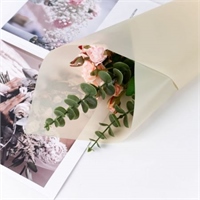 {{productViewItem.photos[photoViewList.activeNavIndex].Alt || productViewItem.photos[photoViewList.activeNavIndex].Description || 'Пленка матовая однотонная 58*58см Пудровый 07 20 листов  т.м.60'}}
