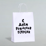 Пакет подарочный с приколами, крафт «Пупсик», белый, 24×14×28 см, 1 шт. 9670352