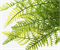 Ветка папоротника 40см 88041983 - фото 1013