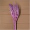 Сухой колос пшеницы, набор 50 шт., фиолетовый 4447384 - фото 122