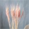 Сухой колос пшеницы, набор 50 шт, цвет розовый 4447389 - фото 131