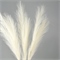Пампасная искусственная трава, высота 70 см, набор 3 шт, цвет молочный 10629667 10629667 - фото 2091