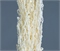 Сухоцвет "Амарантус", длина 90-110 см, 5 шт. бежевый 88049827 - фото 2269