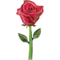G (65''/165 см) Цветок, Роза, Красный, ИТАЛИЯ 88050152